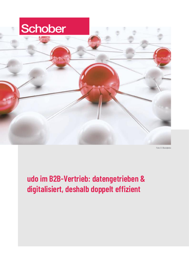 Titel von udo im B2B-Vertrieb - datengetrieben & digitalisiert, deshalb doppelt effizient.pdf