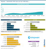 Preview von Shopware - Marktanteile 2020 unter den Top-1.000-Shops ...