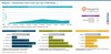 Preview von Adobe Commerce (Magento) - Marktanteile 2023 unter den Top-1.000-Shops