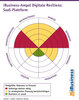 Preview von iBusiness-Ampel Digitale Resilienz - SaaS-Plattform